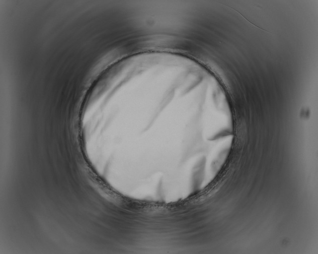 X0000089421435200707131813