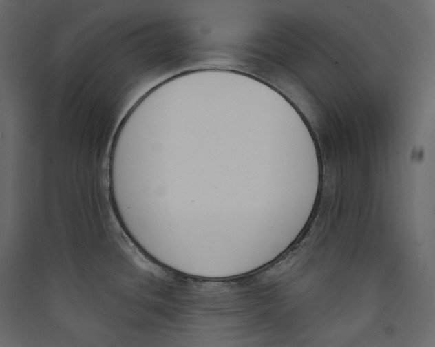X0000089421436200707131813
