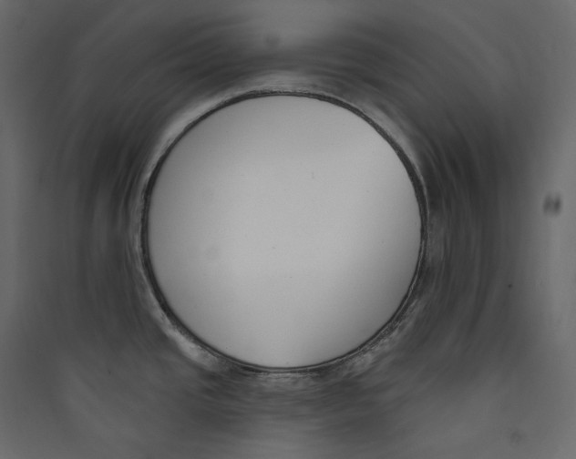 X0000089421437200707131813