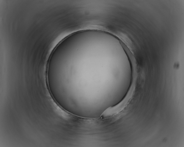 X0000089421438200707131813