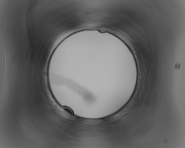 X0000089421440200707131813