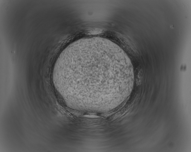 X0000089421441200707131812