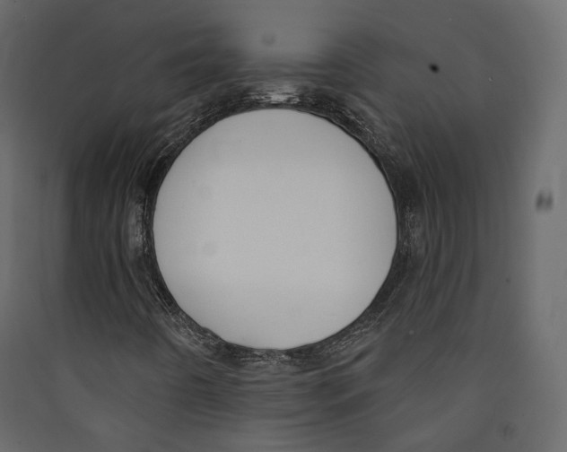 X0000089421442200707131812