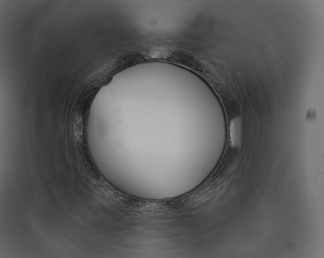 X0000089421443200707131812