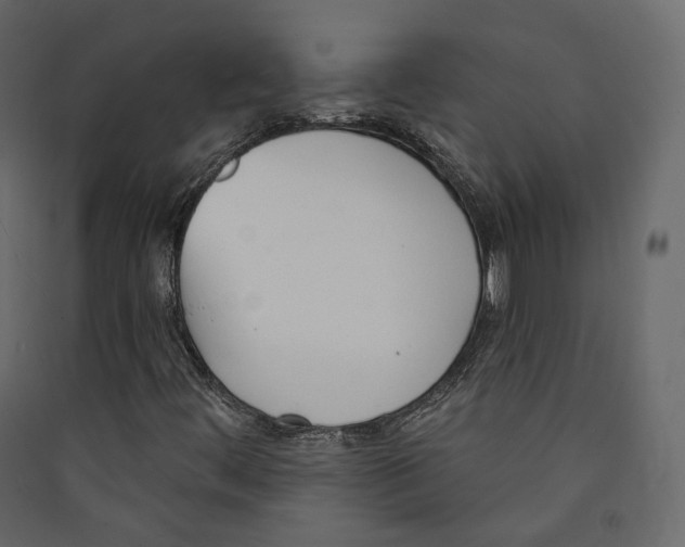 X0000089421444200707131812