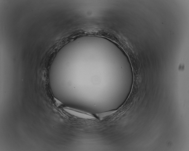 X0000089421445200707131812