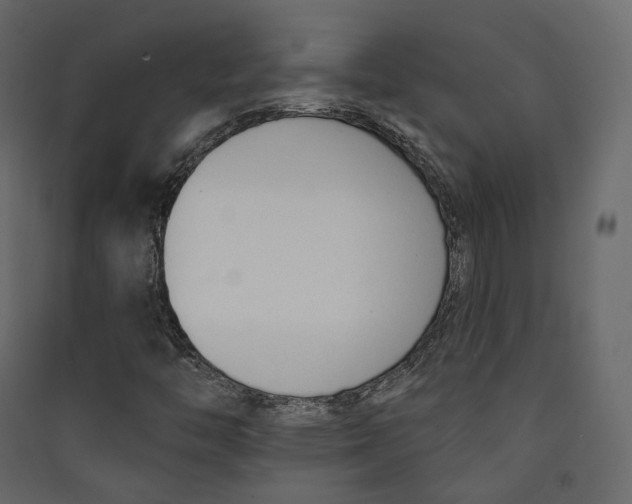 X0000089421446200707131812