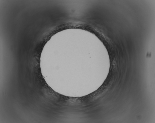 X0000089421447200707131812