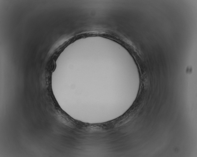 X0000089421448200707131812