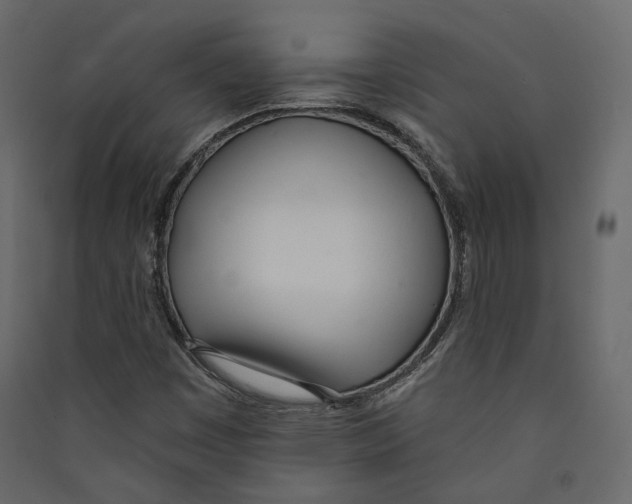 X0000089421449200707131812
