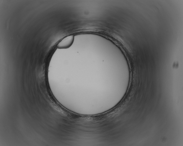 X0000089421450200707131812