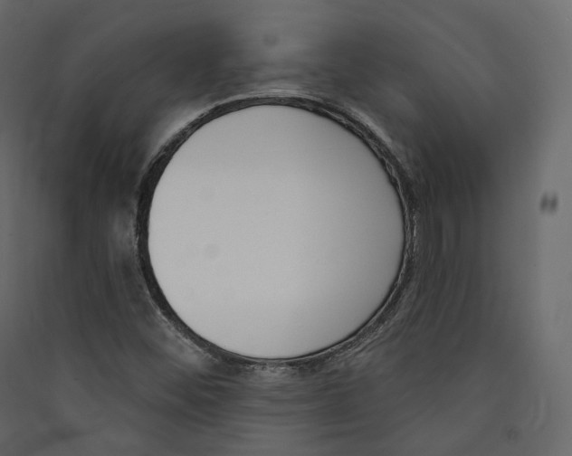 X0000089421452200707131812