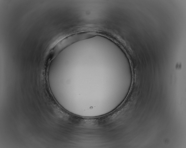 X0000089421453200707131812