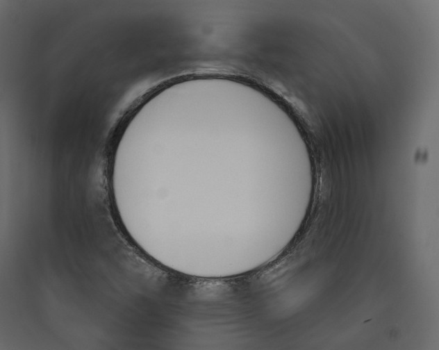 X0000089421454200707131812