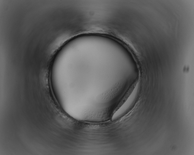 X0000089421455200707131812