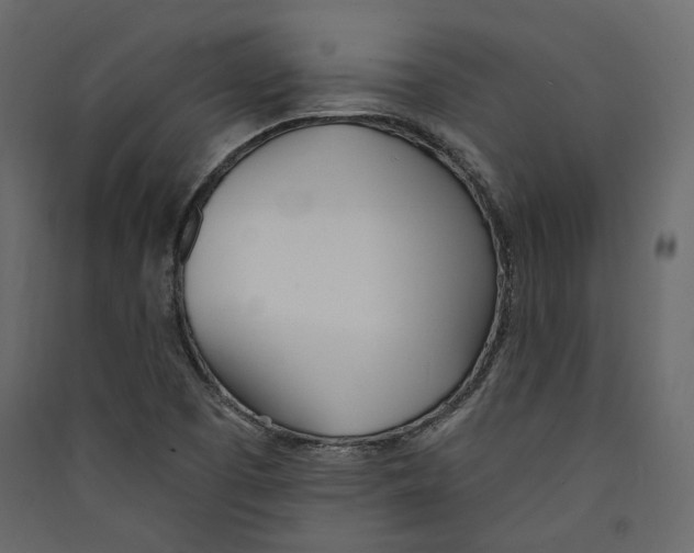 X0000089421457200707131812