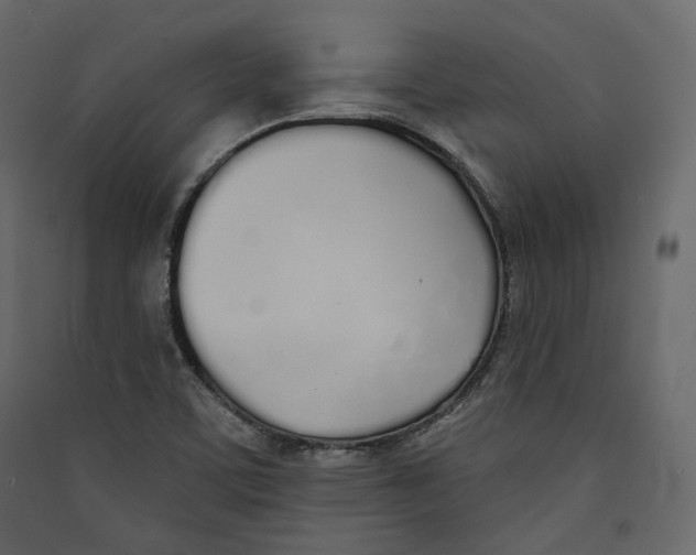 X0000089421459200707131812