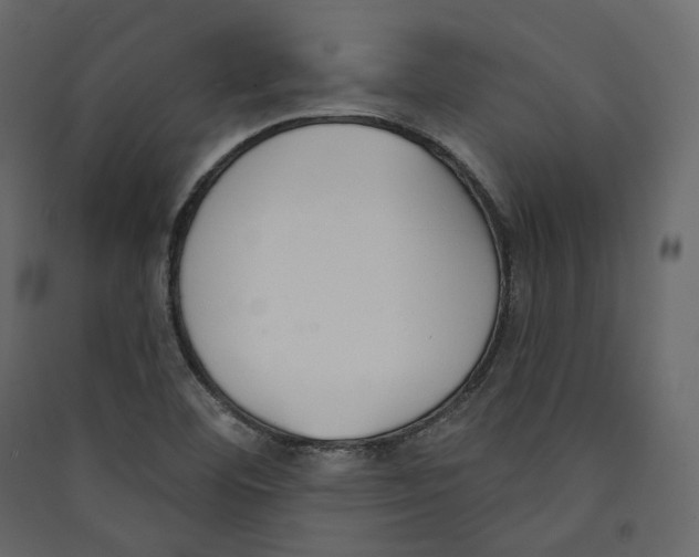 X0000089421460200707131812