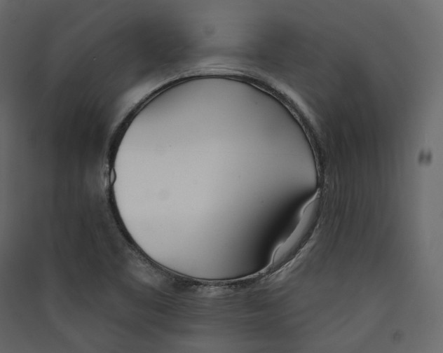 X0000089421461200707131812
