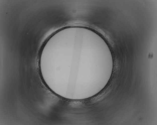 X0000089421462200707131812