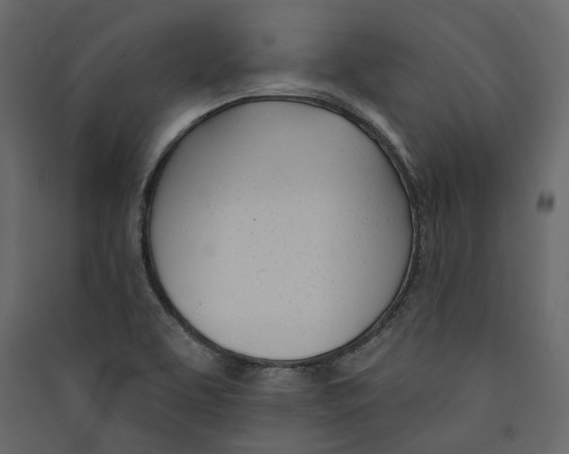 X0000089421463200707131812