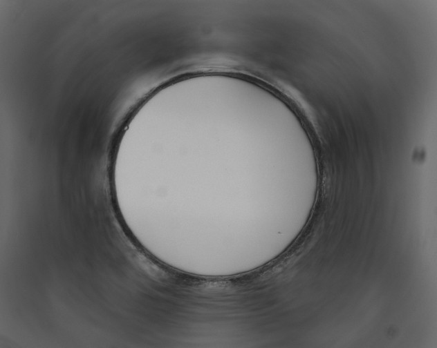 X0000089421464200707131812
