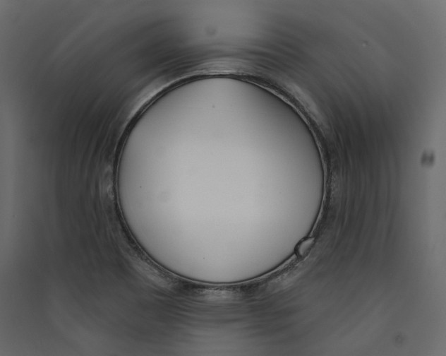 X0000089421465200707131812