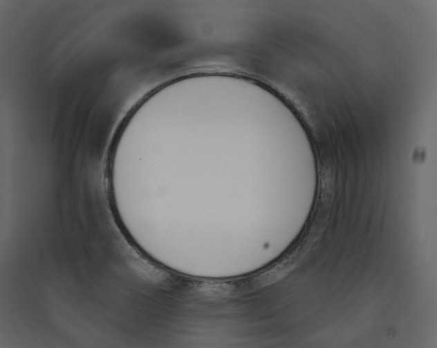 X0000089421466200707131812
