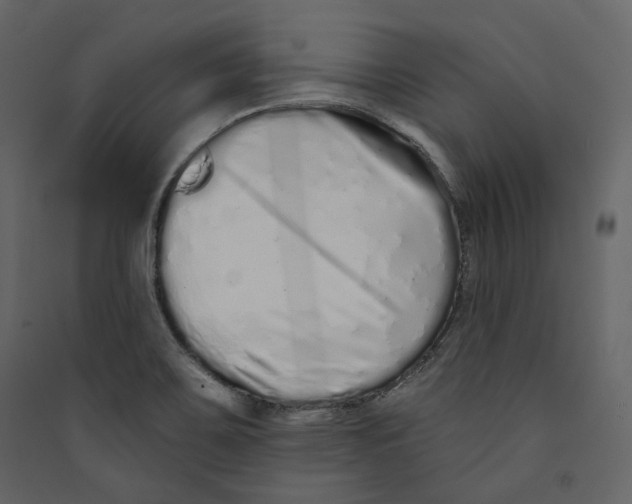 X0000089421467200707131812