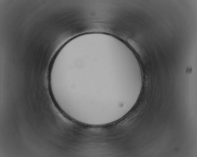 X0000089421468200707131812