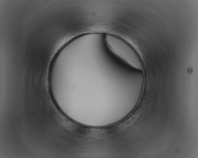 X0000089421469200707131812