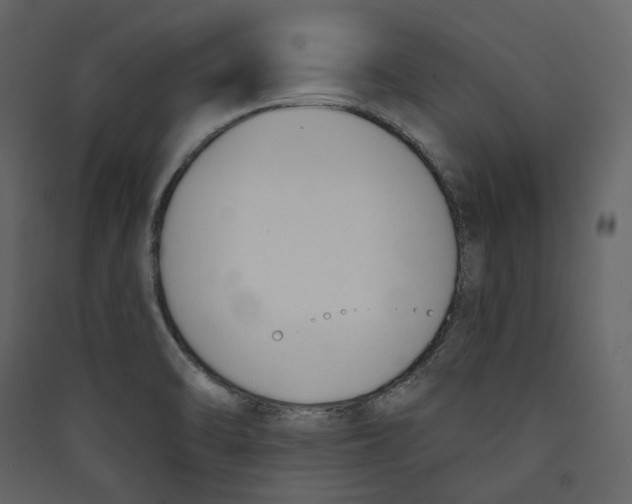 X0000089421470200707131812