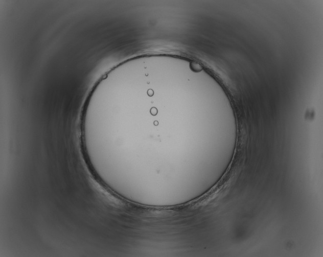 X0000089421471200707131812