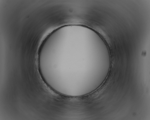 X0000089421472200707131812