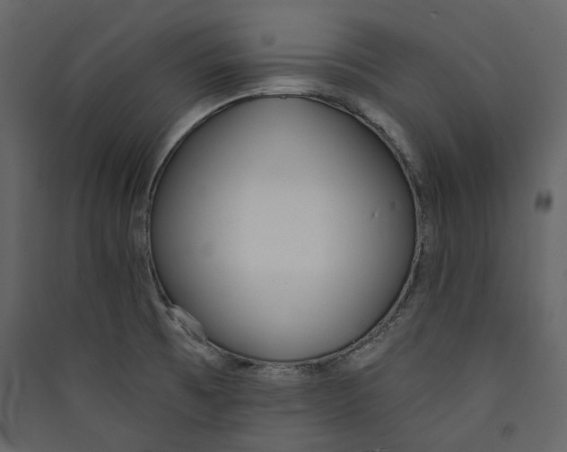 X0000089421473200707131812