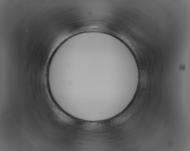 X0000089421474200707131812