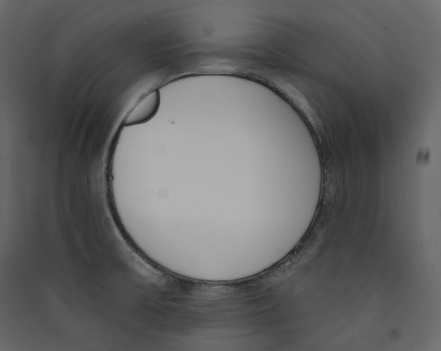 X0000089421475200707131812