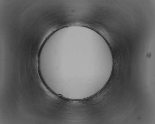 X0000089421476200707131812