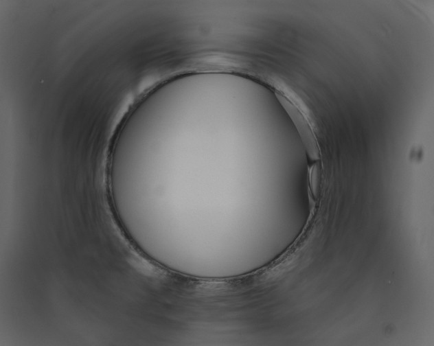 X0000089421477200707131812