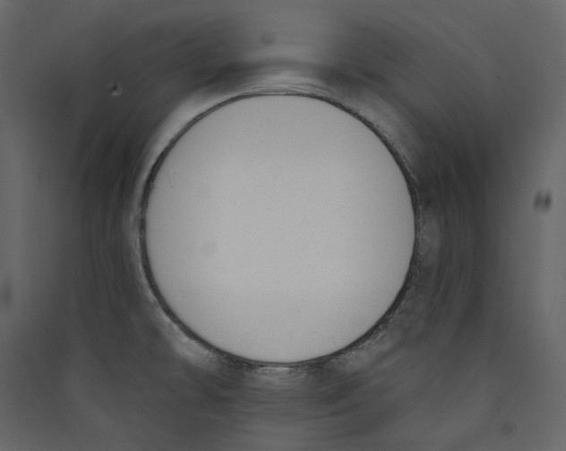 X0000089421478200707131812