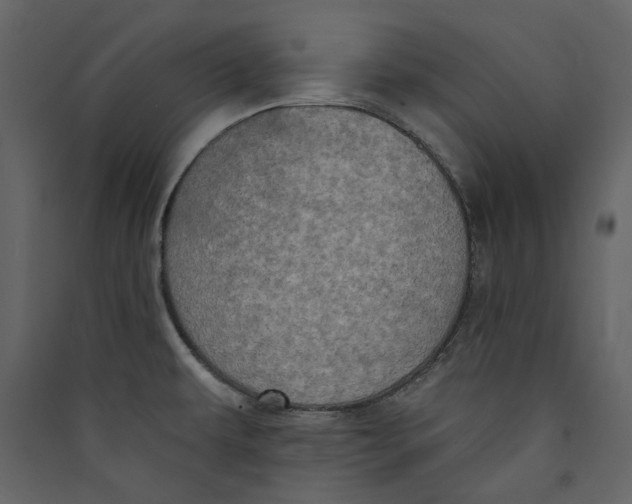 X0000089421479200707131812