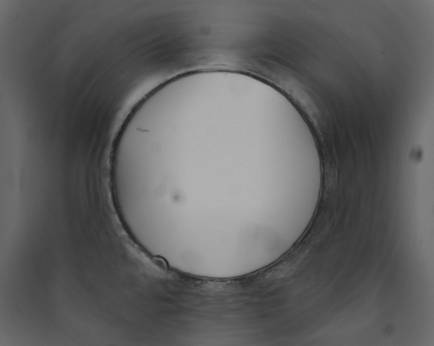 X0000089421480200707131812