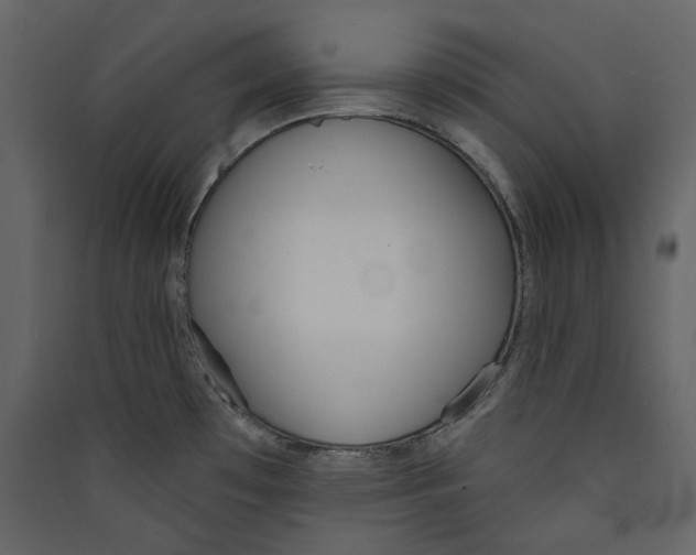 X0000089421481200707131812
