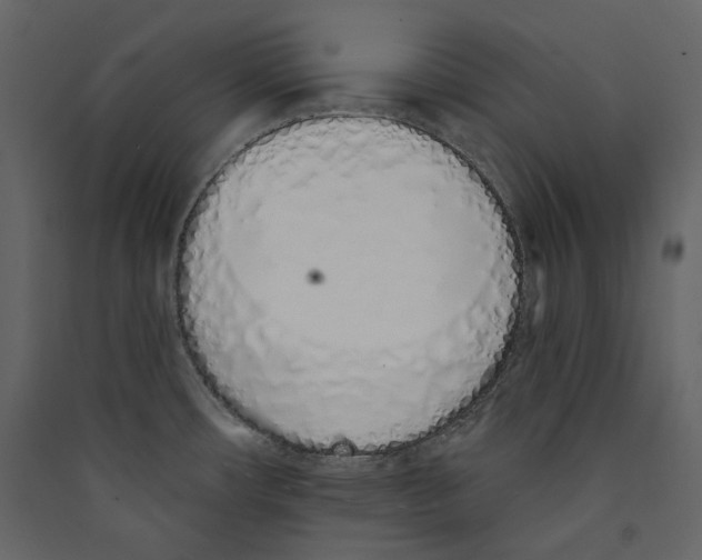 X0000089421482200707131812