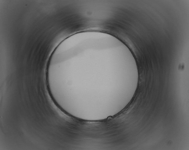 X0000089421483200707131812