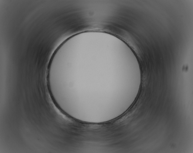 X0000089421484200707131811