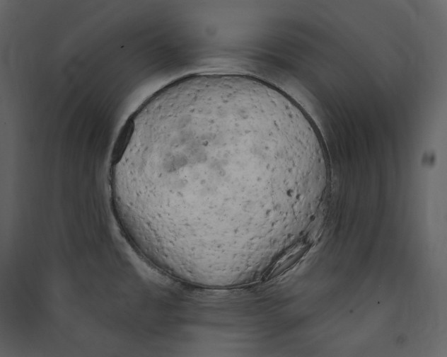 X0000089421485200707131811