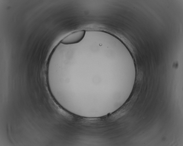 X0000089421486200707131811