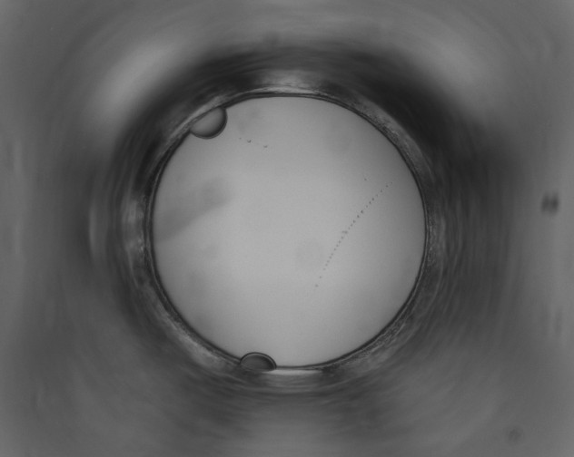 X0000089421487200707131811