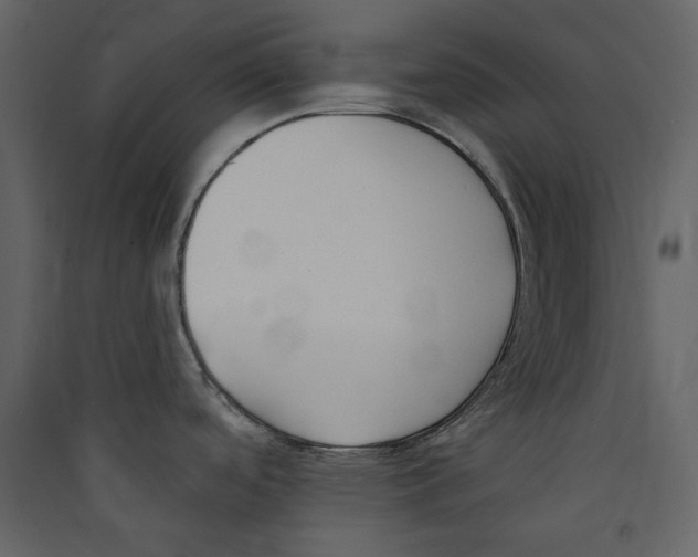 X0000089421488200707131811
